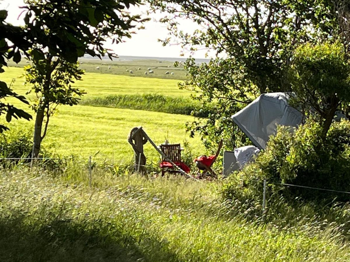 Hof Steinhuetten Schlafstrandkorb Westerhever Kültér fotó